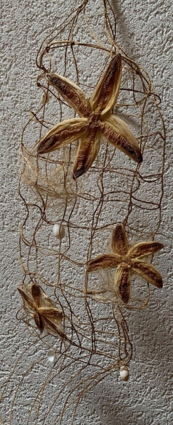 Fischernetz rund mit Krepp-Seesternen und Muscheln